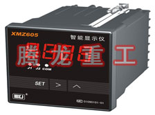 溫度表、數字顯示儀、濕度表